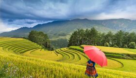Sapa Ethnic Woman with Umbrella